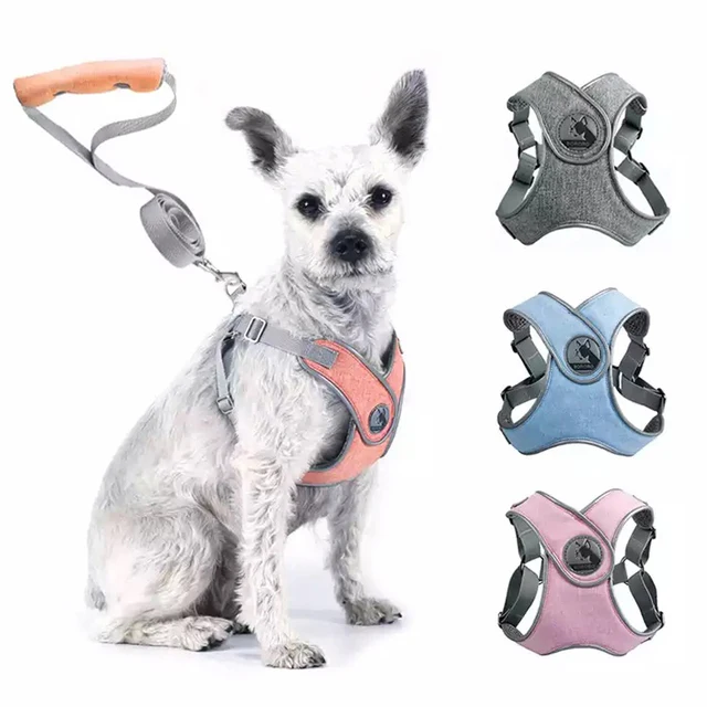 Reflective Mesh Harness & Leash Set