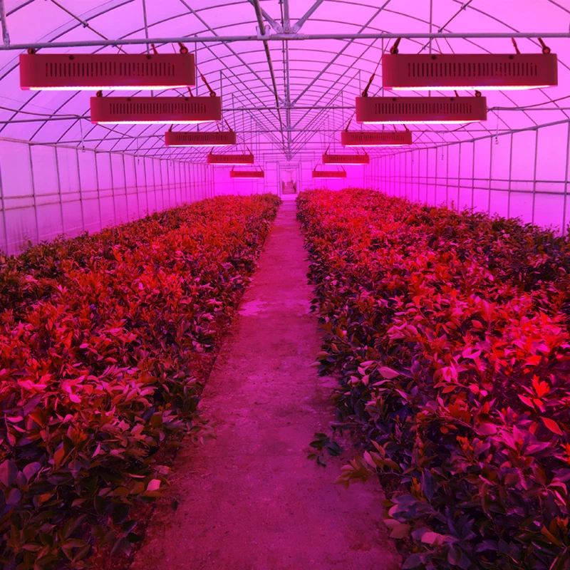 Полный спектр Led Grow Light 400 Вт Светодиодная лампа для выращивания красный + синий ИК