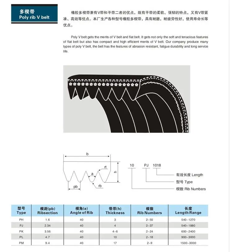 High Quality Renovação da Casa