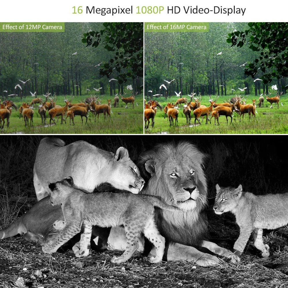 2PCS Hunting Camera Trail Cameras 20MP 1080P Night Vision Waterproof Photo Trap MiNi301 Wireless Wildlife Surveillance 5