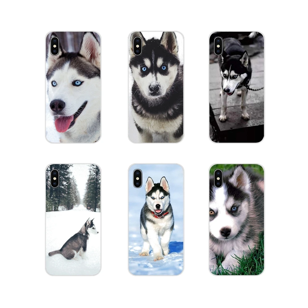 For LG G3 G4 Mini G5 G6 G7 Q6 Q7 Q8 Q9 V10 V20 V30 X Power 2 3 K10 K4 K8 2017 Accessories Phone Shell Covers Animals Dogs Husky | Мобильные