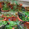 Garden Supplies