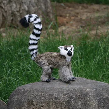 

12" Simulation Animal Lemur Fashion Photography Props Lemuridae Teaching Model Best Gift Fur Action Figure Toy BOX 32CM X194