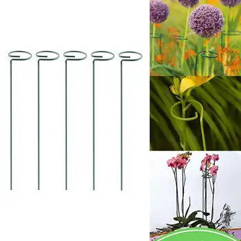 

Plant Support Stakes, Garden Single Stem Support Stake Plant Cage Support Rings For Amaryllis Tomatoes Orchid Lily Peony
