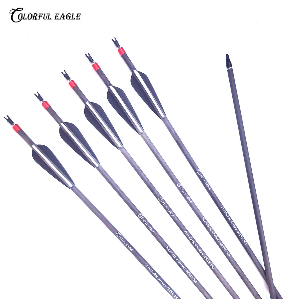Spine 300 400 Pure Carbon Arrow 28" 30" 31" Length with Replaceable Arrowhead Nocks for Compound Recurve Bow Archery Hunting