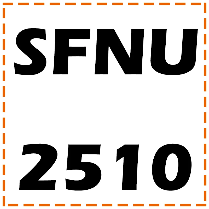SFNU2510-C7 TBI Motion SFNU2510 800 900 мм SFU2510 C7 шариковый винт Профессиональный конец обработки резьбовой вал Высокая точность ЧПУ комплекты АКСЕССУАРЫ - Цвет: SFNU2510-C7