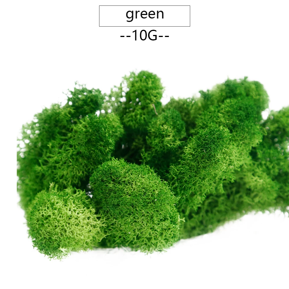 10g Green 10/200g искусственные растения вечной жизни мох бессмертный Искусственная Трава Декор для дома и сада цветочным принтом в стиле «сделай сам Материал микро Ландшафтные аксессуары - Цвет: 10g Green