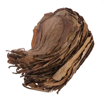 

50pcs Natural Catappa Leaves Almond Leaf Fish Cleaning Treatment Aquarium Tank A69D