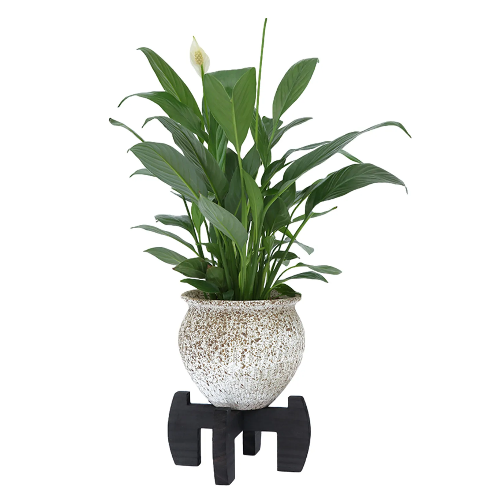 

Free Standing Bonsai Holder Home Balcony Wood Succulent Plant Pot Shelf Base For Office Home Indoor Outdoor Decoration