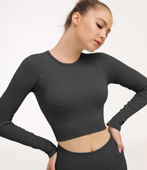 2 Piece Set Women Ribbed Seamless Long Sleeve Yoga Sets Workout Clothes for Women High