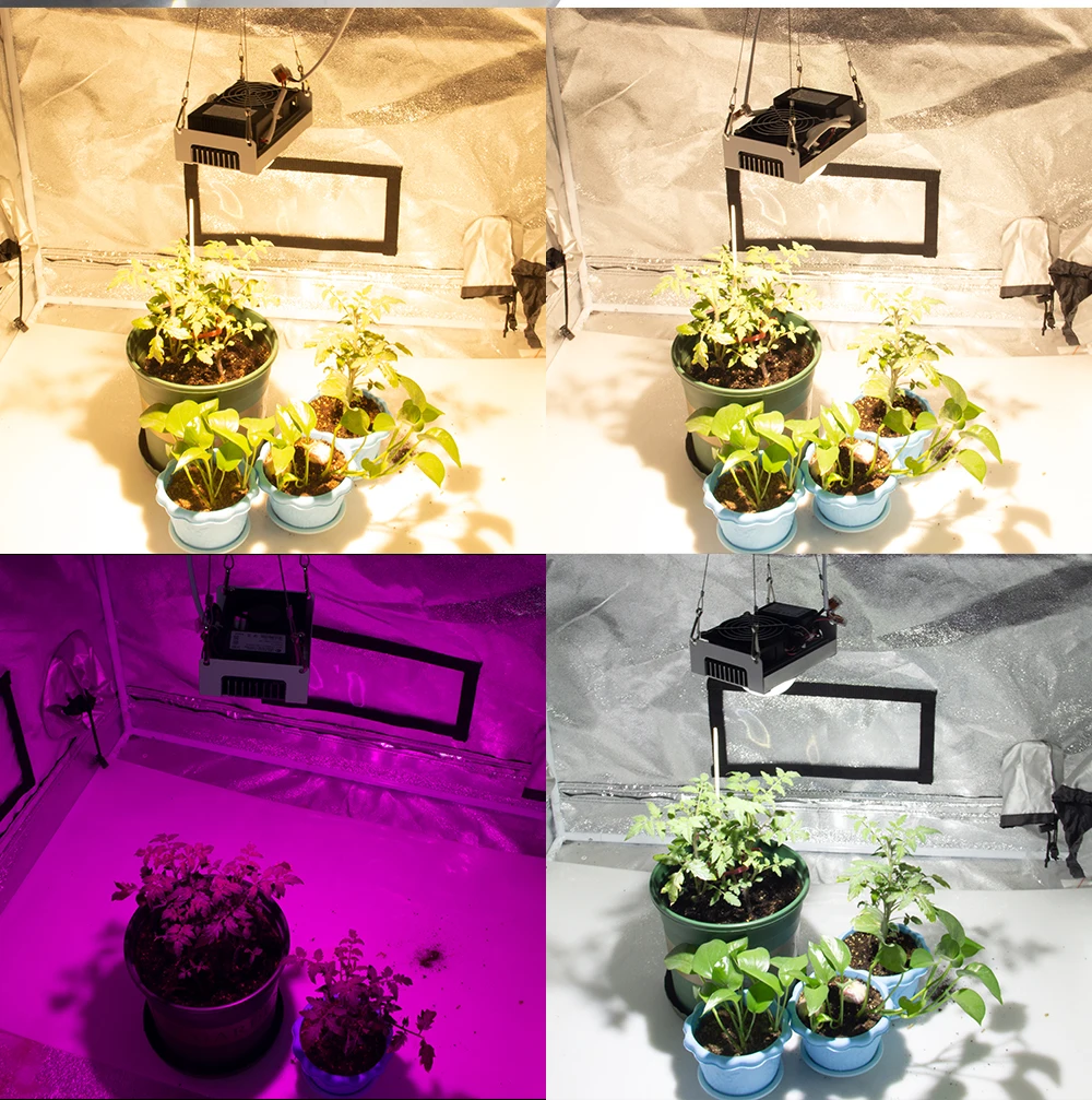 COB светодиодный светильник для выращивания растений с полным спектром CXB3590 100 Вт