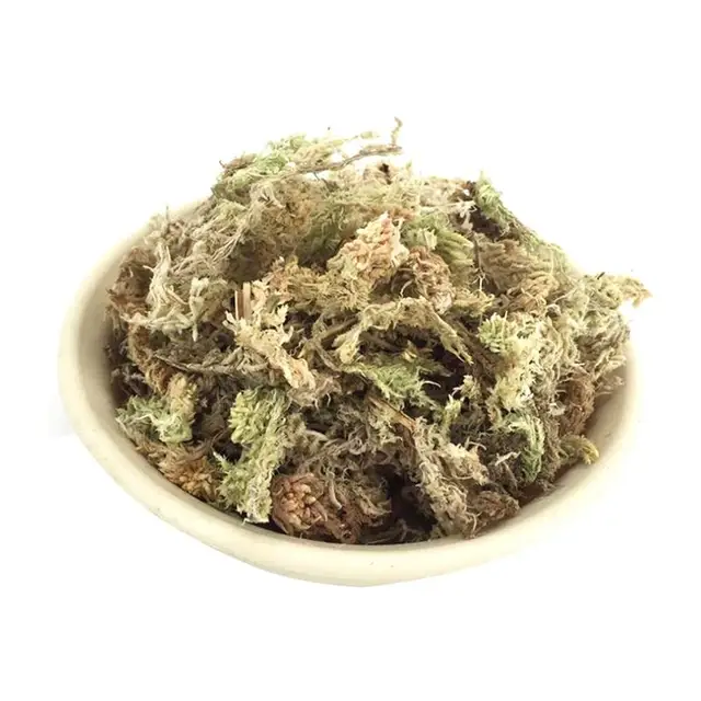 6L Cserepes Virág Húsos Tenyésztési Szubsztrát Víz Moha Para Bonsai Száraz Abono Organikus Élve - Image 2