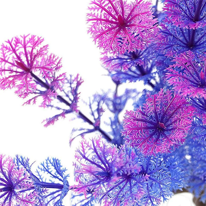 4114681267_251430030