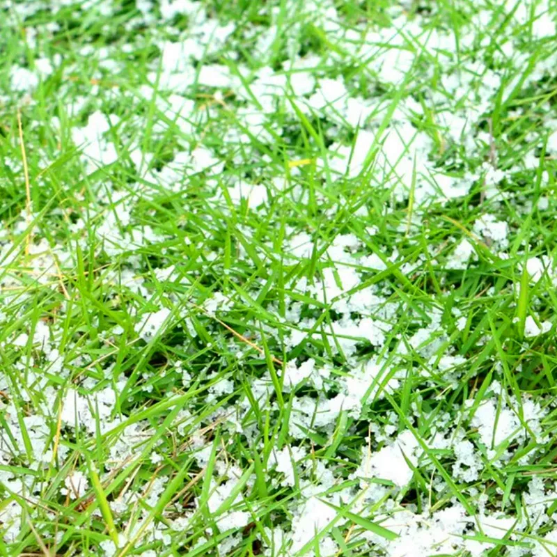Pacinitrade Neve In Polvere 300Gr Pacinitrade Neve In Polvere 300Gr