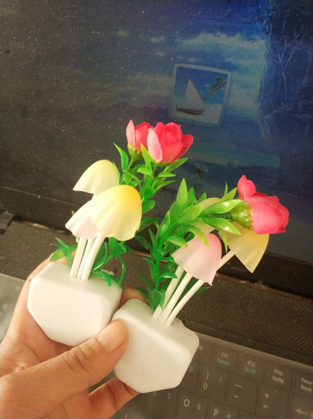 TIM图片20191228194154