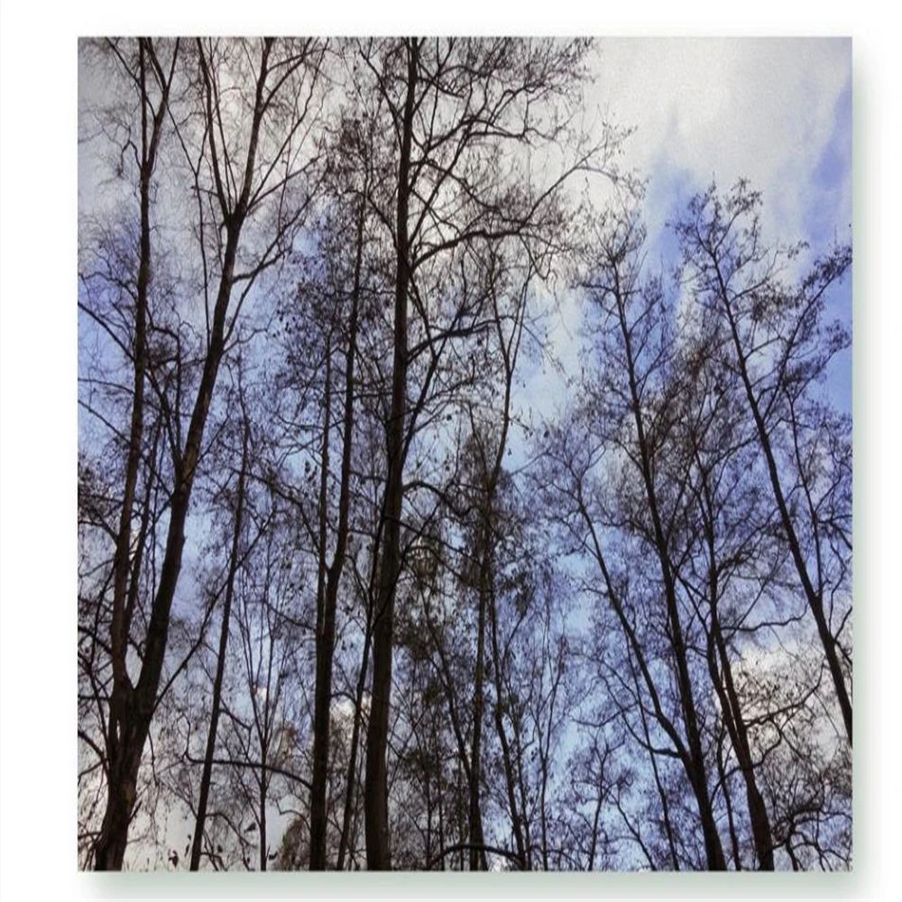 360截图20200419154041149_副本