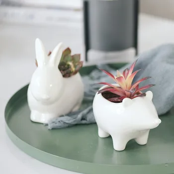 

Succulent Plant Pot Cute Animal Flower Planter Flowerpot Create Design Lovely Little Animals Home Garden Bonsai Pots