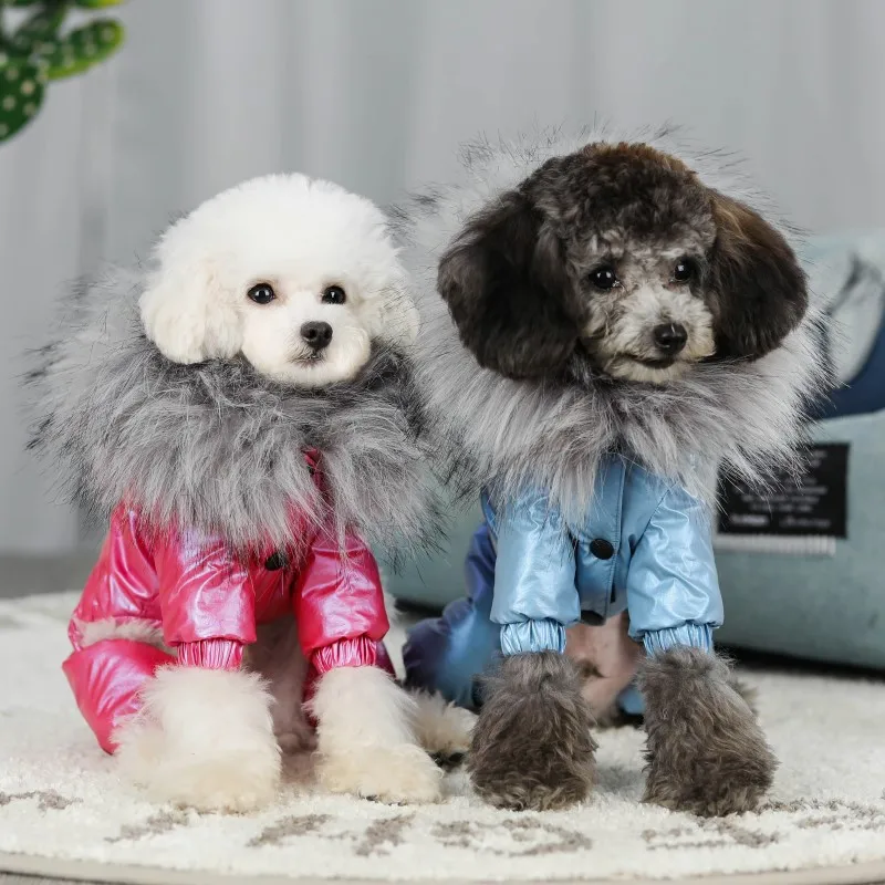 dog coats (15)