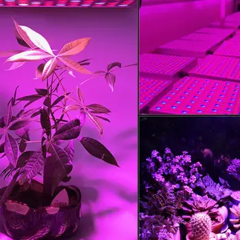 

LED Grow Light Full Spectrum Indoor Plants For Seeding Waterproof Nursery Agriculture Vegetable Flower Backyard Greenhouse
