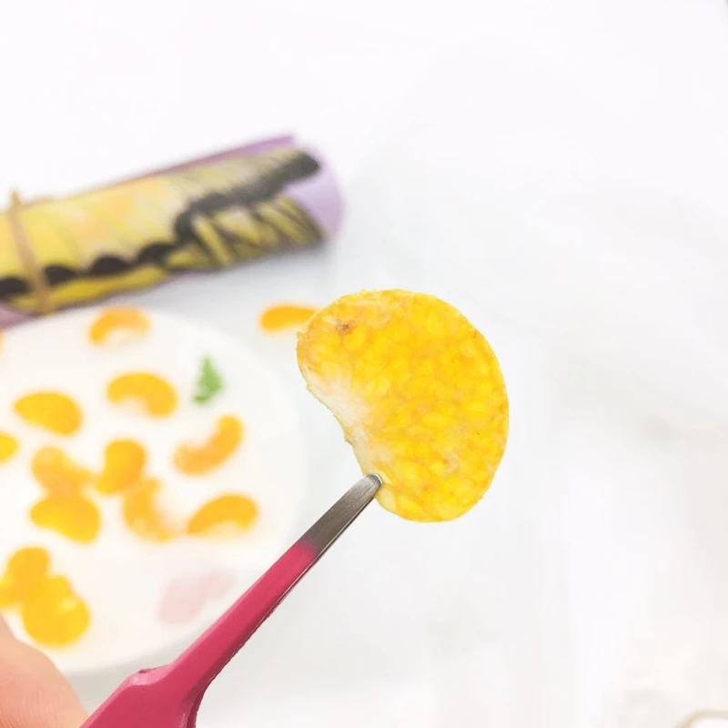 

10pcs Dried Pressed Mini Fruit Orange Petals Slices Plant Herbarium For Jewelry Photo Frame Phone Case Bookmark Making DIY