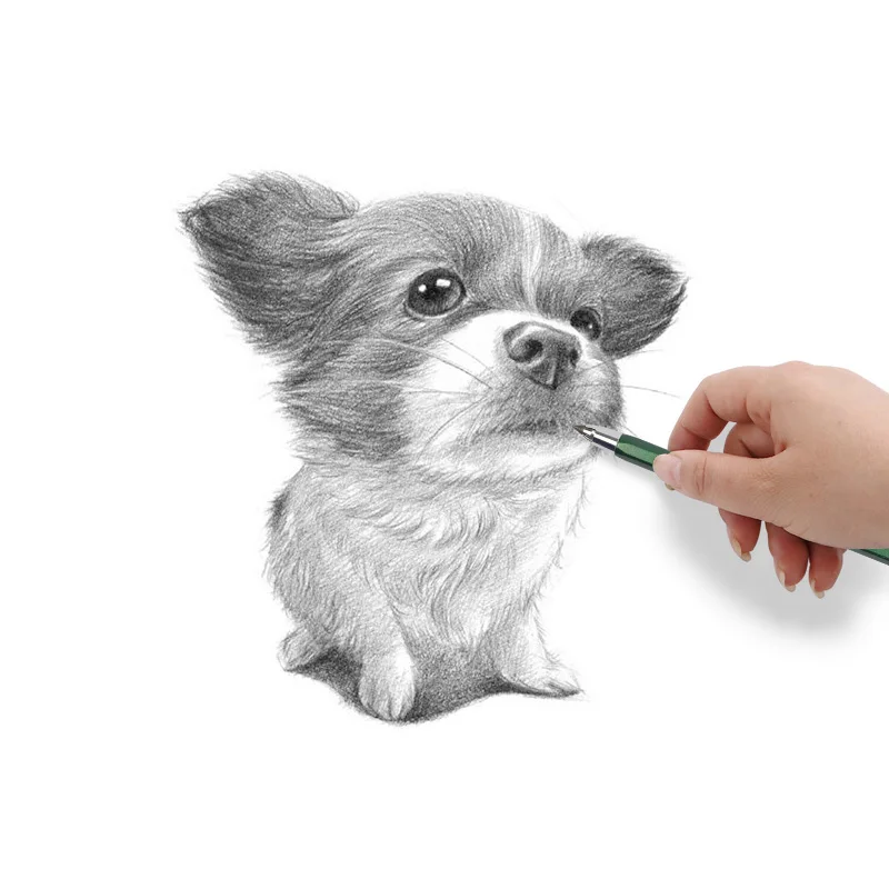 4mm Mechanical Pencil Sketch Drawing Art Pencil Automatic Charcoal Pencils For Students Kids Gift Stationery Supplies TR-4000 6
