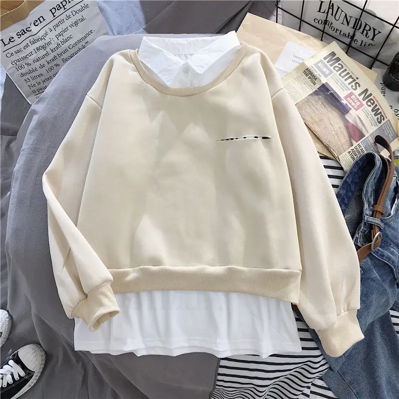 Зимние ботфорты в Корейском стиле harajuku с капюшоном Длинные рукава уличная