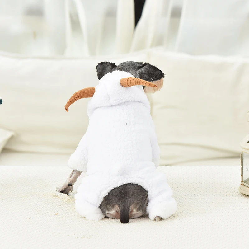 11894651214_906868034