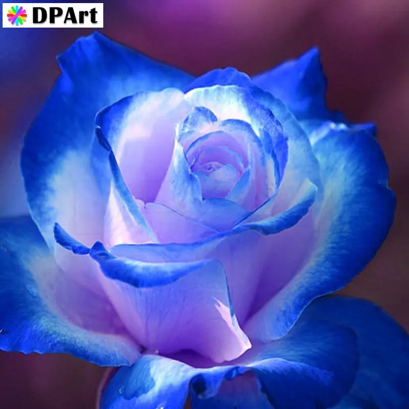 

Daimond Painting 5D Full Square/ Round Flower Blue Rose Diamond Rhinestone Embroidery Crystal Mosaic Cross Stitch Decor M199