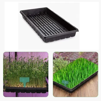 

6 Packs Plastic Gg Trays Seed Tray Seedling Starter for Greenhouse Hydroponics Seedlings Plant Germination