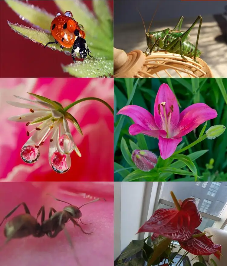 QQ截图20190927163605