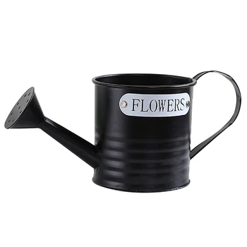 

Simple Iron Watering Pot Gardening Tin Decorative Flower Bucket Iron Sprinkling Kettle Portable Flower Can for Home Garden Plant