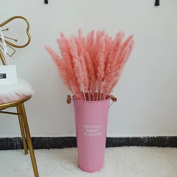 

30pcs Pampas Grass Wedding Bunch Home Decor Decorative Dried Natural Flowers White Pink Bulrush Natural Faux Flowers Party Diy