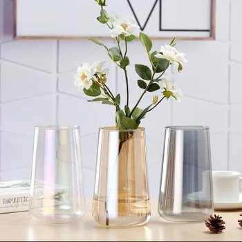 

Aurora clear glass vase, Nordic siphon glass vase, simple flower arrangement, small glass bottle