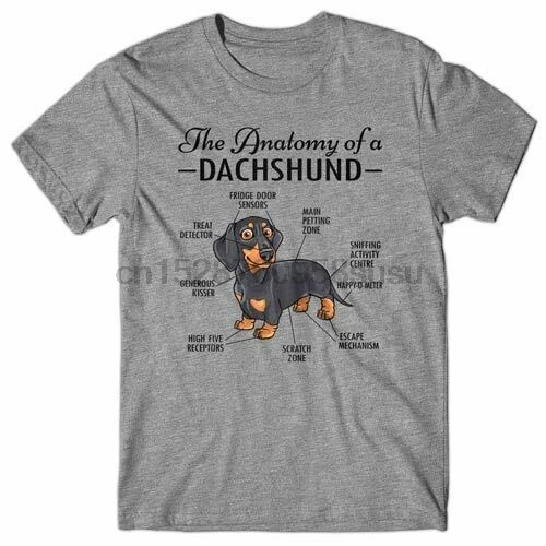 Cool T-shirt ANATOMY OF A DACHSHUND gift for dog lover Funny Dog merchandise |