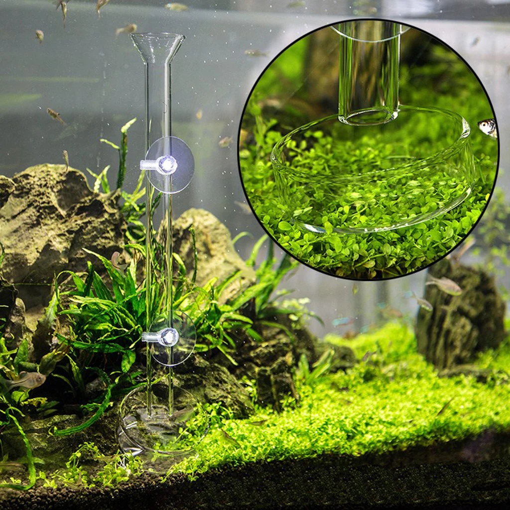 Glass Shrimp Feeding Food Bowl Tray + 30cm Feeder Tube for Aquarium Fish Tank