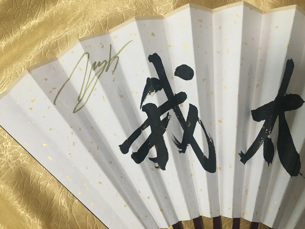 王一博 签名折扇 我太南了 (2)