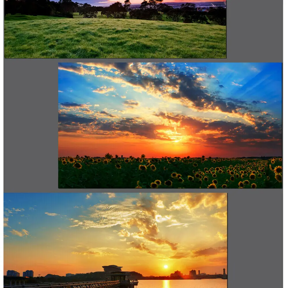 câmera e fotografia