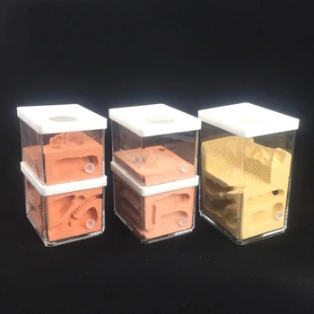

Acrylic Gypsum Ant Nest Transparent Ant Nest Box Type Ant Farm Insect Observation Reptile Terrarium