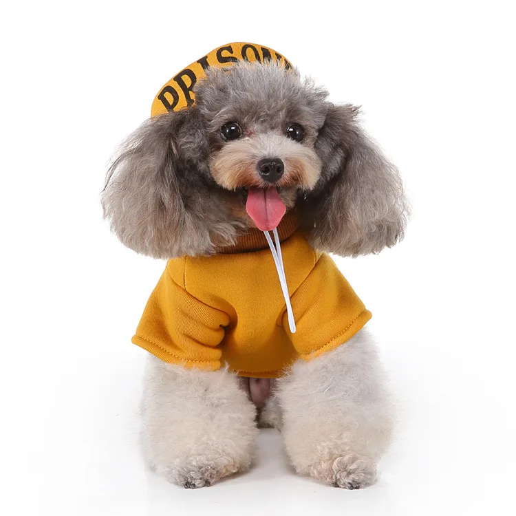 IMG_0822.JPG