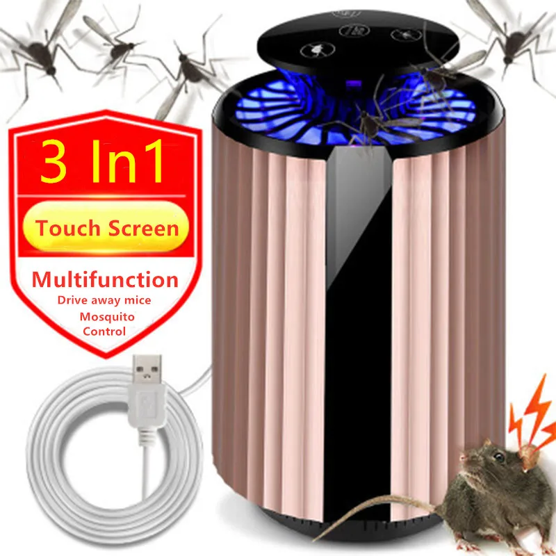 EE