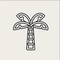 PALMCRAFT Store