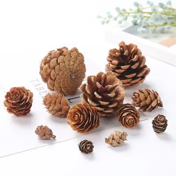 

50Pcs/Pack Natural Pine Cone Thanksgiving Christmas Holiday Decorations Crafts
