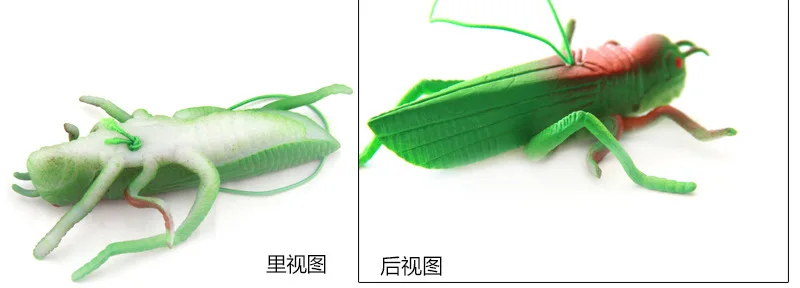 Hot Selling Rubber Locust Model Software Mantis Children Animal Model Toy Spoof Scary Toy