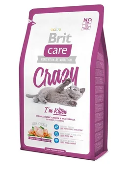

BRIT BRIT CARE CAT CRAZY KITTEN for kittens
