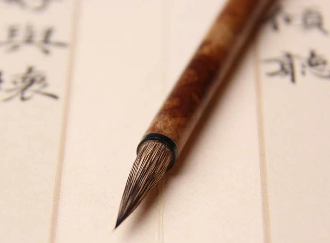 S M �� �䳢 �߱� �귯��, �� ��ũ, Ķ���׶���, ���� �Ϲ� ��ũ��Ʈ, ���� ��ũ��Ʈ, ��� ����, �ְ��� �귣��