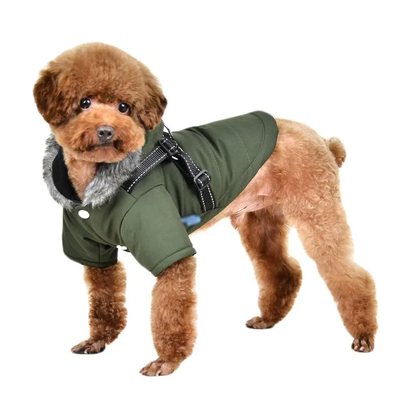 LX2543G (3) - 副本