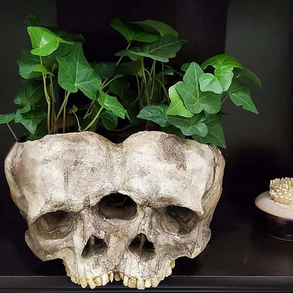 Vaso Fiori A Forma Di Teschio Umano In Resina - Decorazione Halloween, Porta Piante O Contenitore Snack, 16,5x11,5x11 Cm, 427g, Per Scrivania O Bar