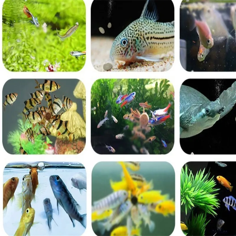 搜狗截图19年09月25日2131_4