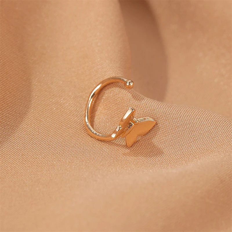 17219475358_2130544268