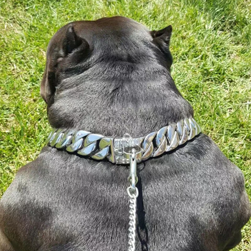 Custom chain dog collars Clearance